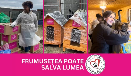 My Skin в гостях у приюта «ЖИВИ»