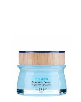 the SAEM Cremă hidratantă pentru față Iceland Aqua Moist, 60 ml