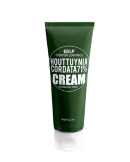 Derma Factory Увлажняющий крем для лица Houttuynia Cordata 71%, 60 г